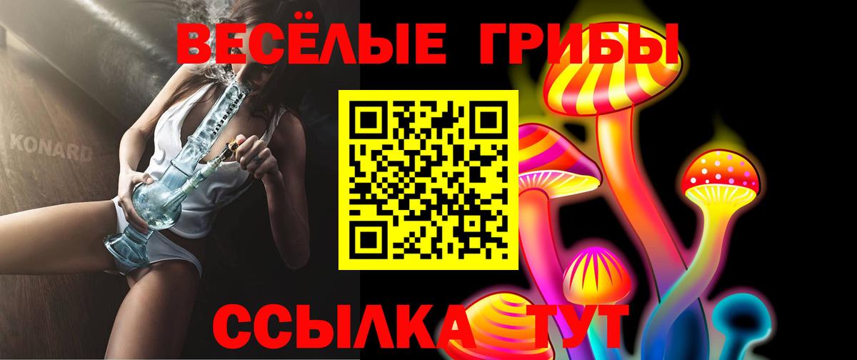 Галлюциногенные грибы мицелий Новокубанск